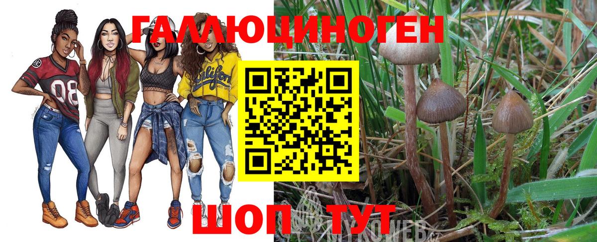 Галлюциногенные грибы ЛСД  Псилоцибиновые грибы мицелий  Вход с VPN  Санкт-Петербург 